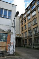 Bild (14)